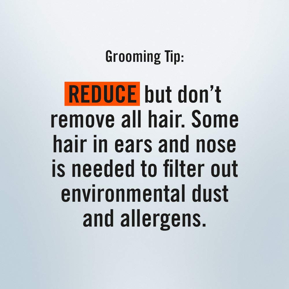 ConairMan Nose Hair Trimmer for Men, For Nose, Ear, and Eyebrows, Patent 360 Bevel Blade for No Pull, No Snag Trimming Experience, Cordless Trimmer 2 piece Set with Detail and Shaver Attachments